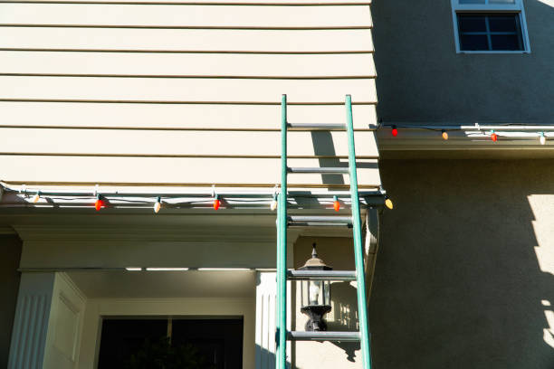 Best Custom Trim and Detailing for Siding  in USA